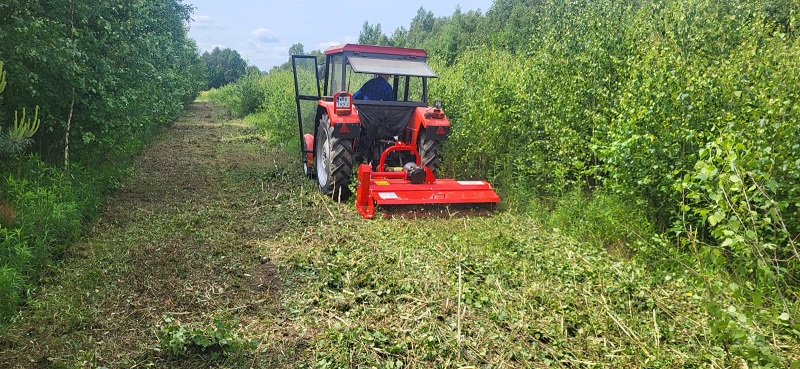 Ogród po koszeniu