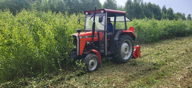 Pielęgnacja zieleni
